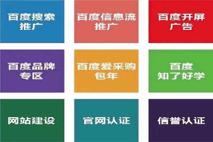 竞价广告的智能投放：XX平台的创新实践